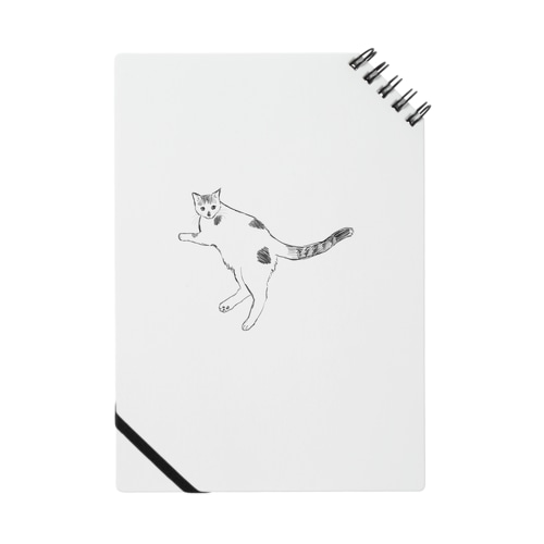 カン太① Notebook