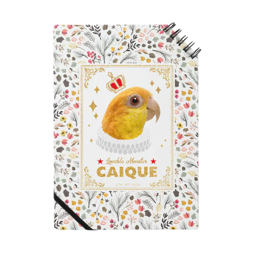 鳥貴族　シロハラインコ Notebook