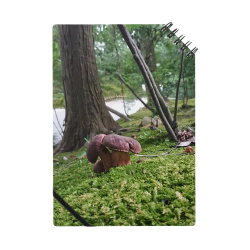 Mushroom vol.1 Notebook