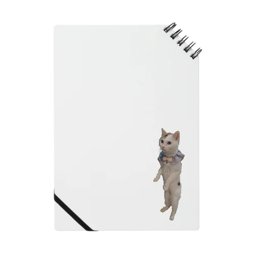 立ち猫華っち Notebook