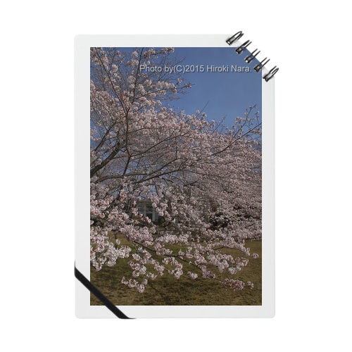 満開の桜 Notebook