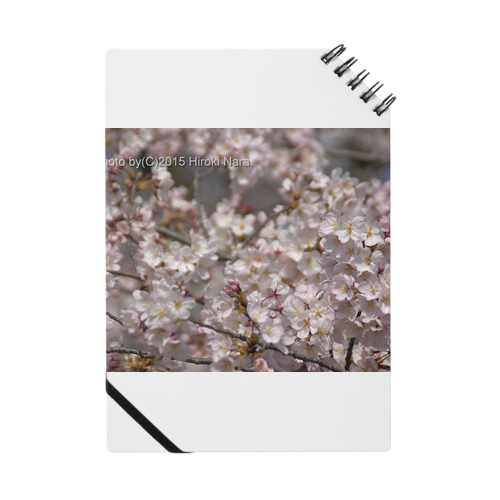 光景　sight0053　桜　2015_009　サクラ Notebook