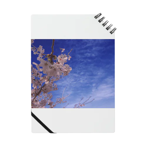 桜　サクラ　cherry blossom DATA_P_093 Notebook