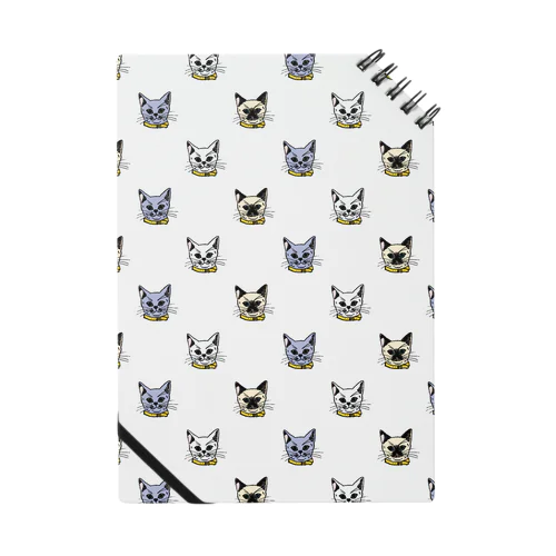 dot plus CAT Notebook