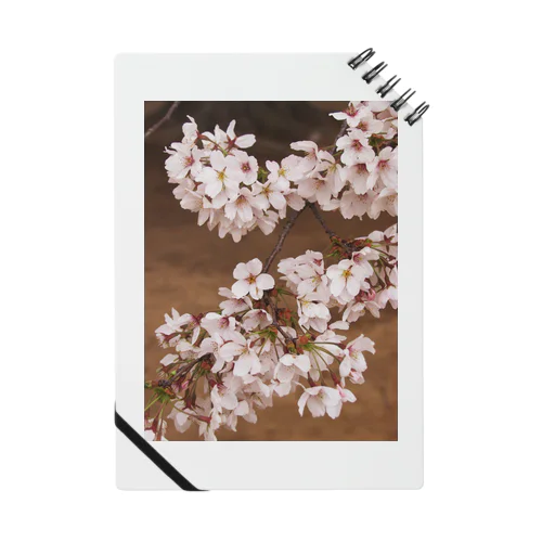 桜　サクラ　cherry blossom DATA_P_106 Notebook