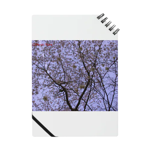 桜　サクラ　cherry blossom DATA_P_108 Notebook