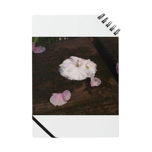 桜　サクラ　cherry blossom DATA_P_112　春　spring Notebook