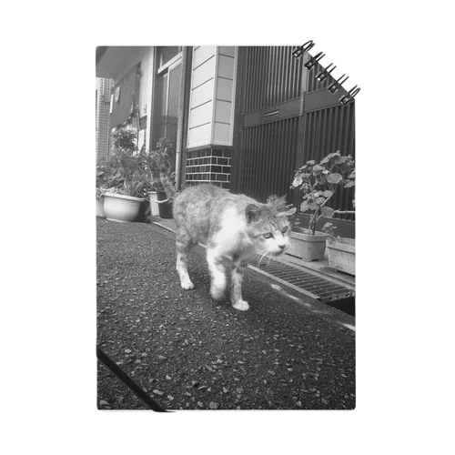 ねこ師匠（モノクロ） ノート