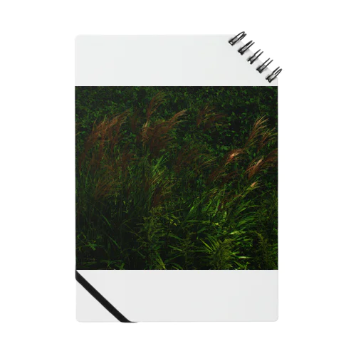 ススキ　japanese pampas grass Notebook