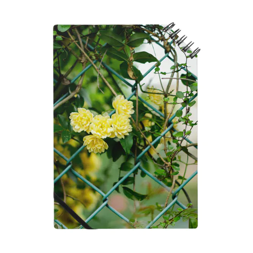 FLOWER-きいろ- Notebook