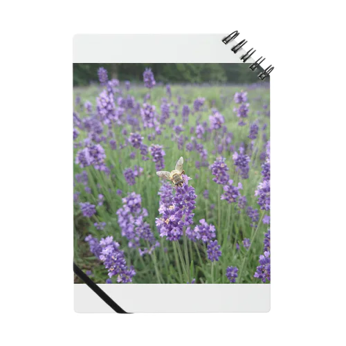 lavender bee Notebook