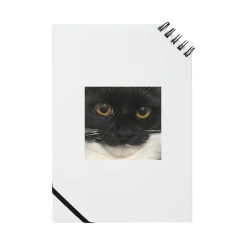 猫の目リン Notebook