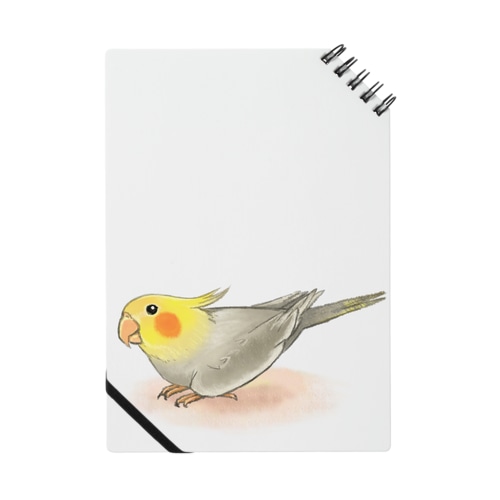 オカメインコ　レキ【まめるりはことり】 Notebook