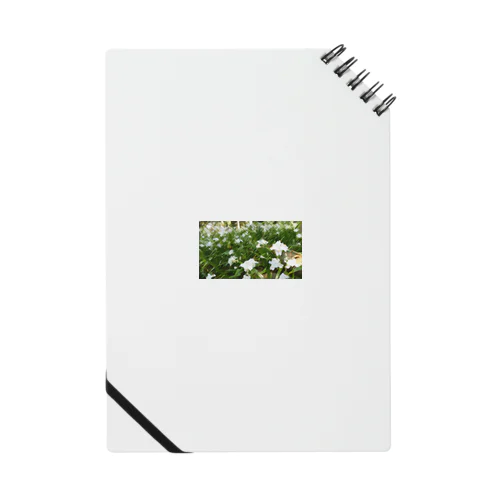シャガの花畑 Notebook