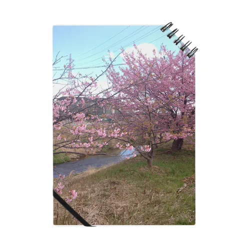 四日市市桜地区の河津桜 ノート