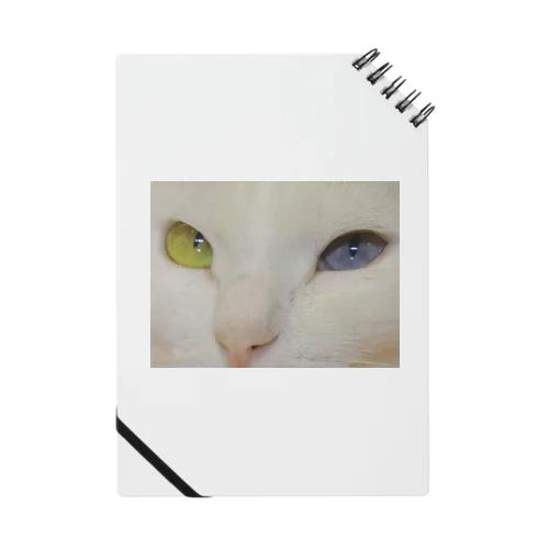 オッドアイcat Notebook