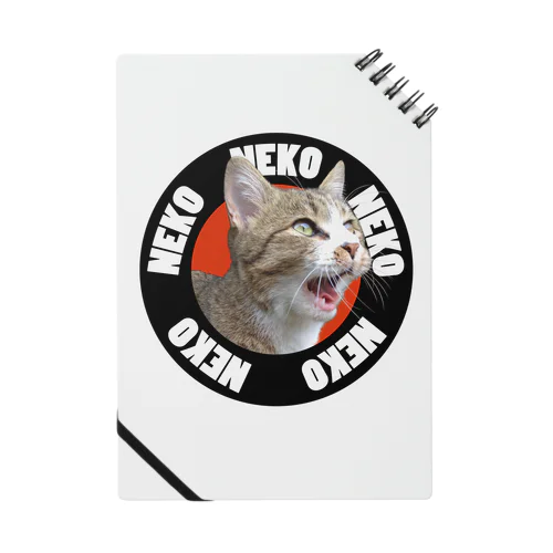 NEKO2 Notebook