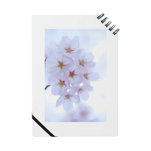 SAKURA NOTE Notebook