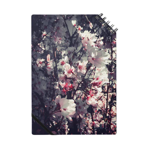 SAKURA Notebook