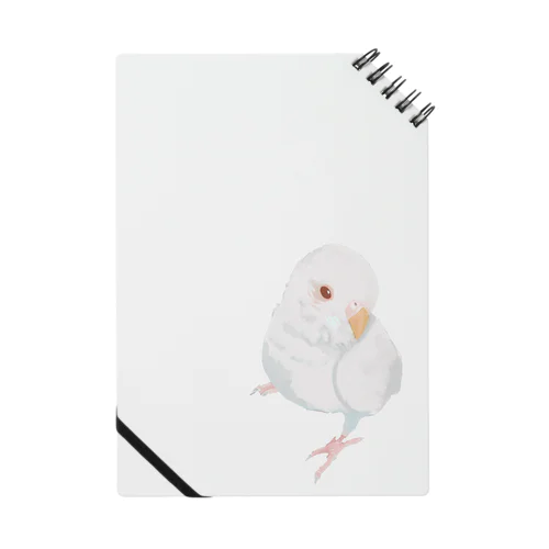 アルビノ セキセイインコ Notebook