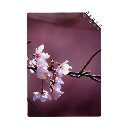 桜とあずき色 Notebook