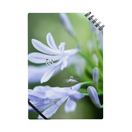 Angel of Agapanthus 170702 Notebook