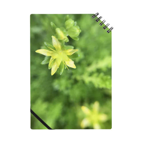 花柄🌼(yellow&green) ノート