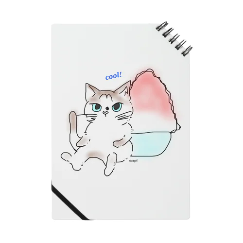かき氷猫 Notebook