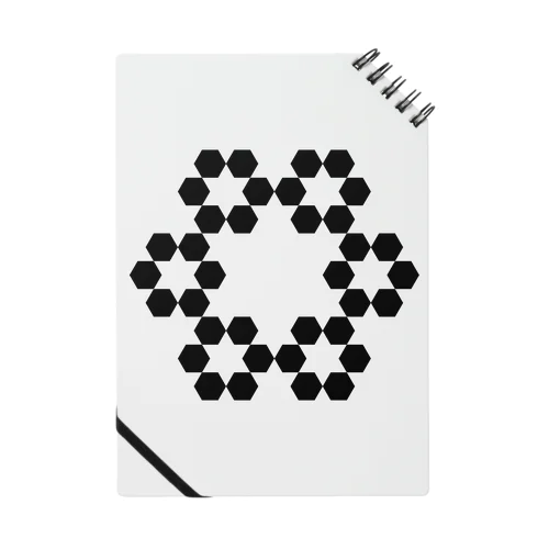 Fractal Cantor Snowflake Notebook