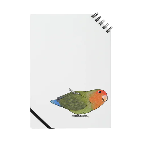 おすましコザクラインコ　きなこちゃん【まめるりはことり】 Notebook