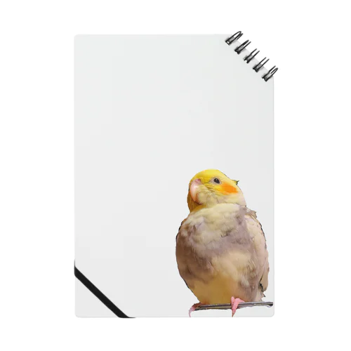 もふもふオカメインコちゃん Notebook