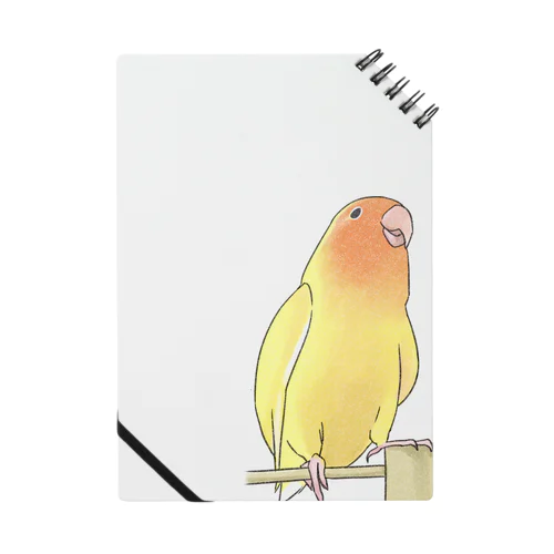 得意げ可愛い　コザクラインコちゃん【まめるりはことり】 Notebook