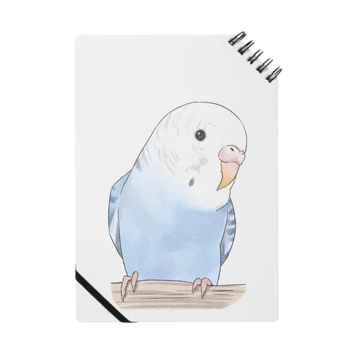 おしゃまな止まり木セキセイインコちゃん【まめるりはことり】 Notebook