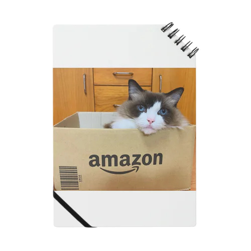 Amazon-cat ノート