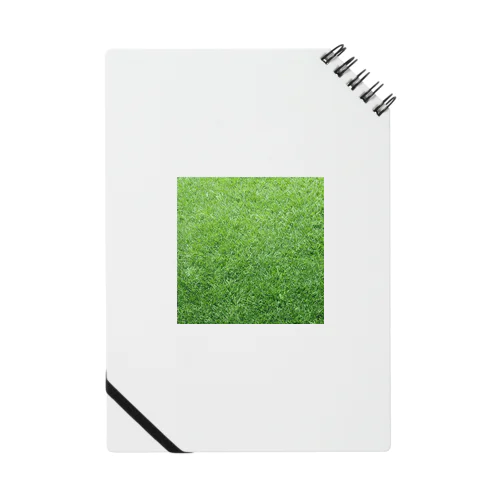 GRASS-芝 Notebook