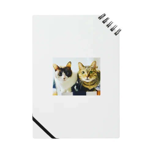姉妹猫 Notebook