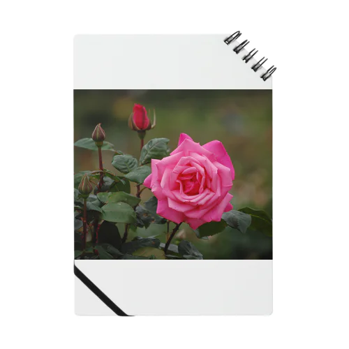 鹿児島の薔薇 Notebook