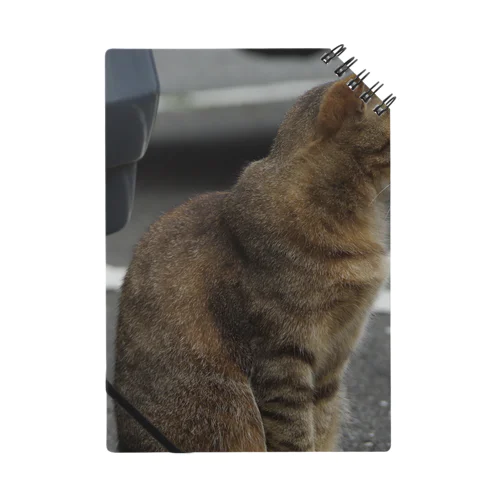 猫背 Notebook