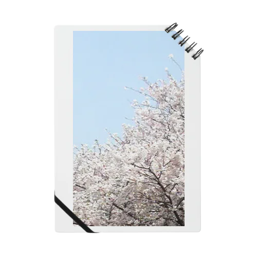 桜 ノート