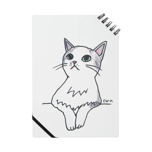 100nyans029.purucat Notebook