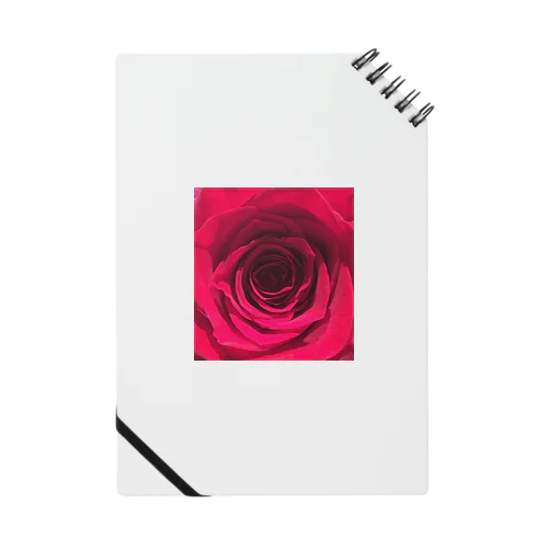 ROSE1 ノート