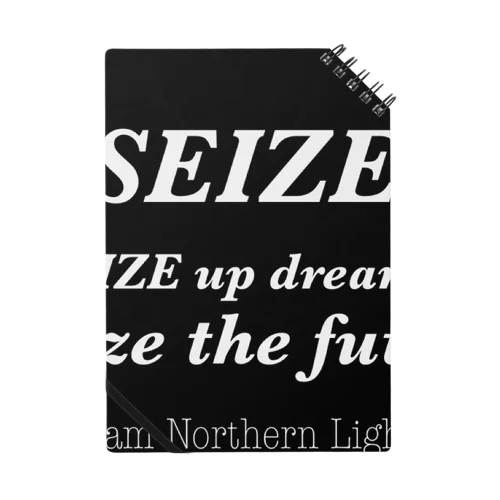 SEIZE team Northern Lights Notebook