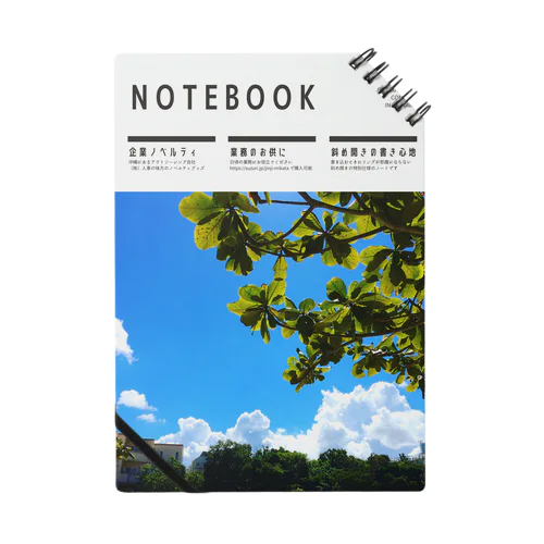 NOTE_DE01_05 Notebook