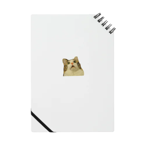 びっくりフェイスの猫 Notebook