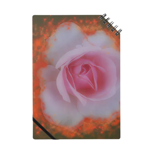 バラ　a burning rose1 Notebook