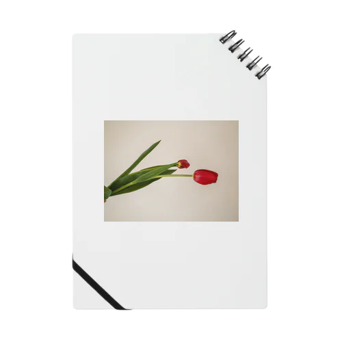 red tulips  Notebook