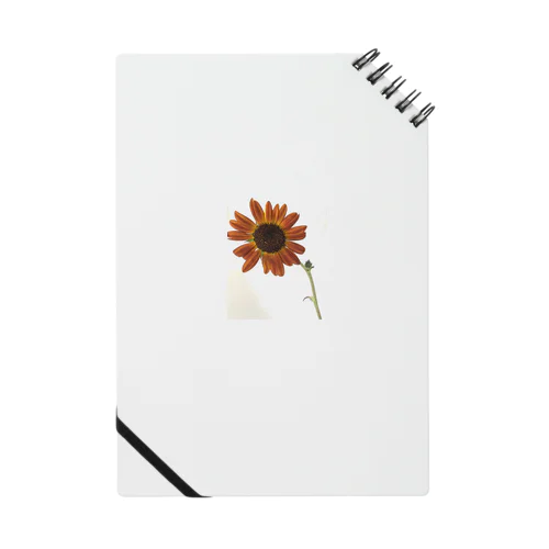 orange sunflower   ノート