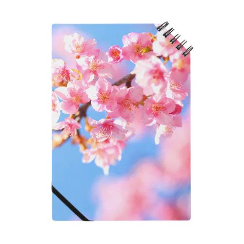 桜 ノート