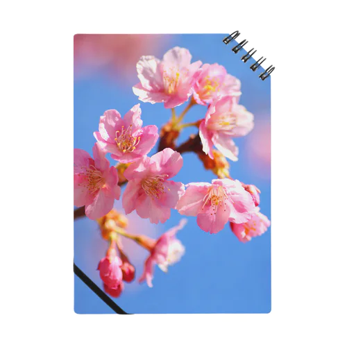 桜 ノート