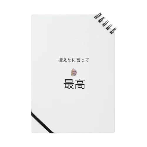 控えめなそうすけ Notebook